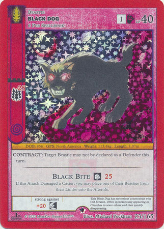 Black Dog - Wilderness: First Edition - 23/165