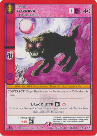 Black Dog - Wilderness: First Edition - 23/165