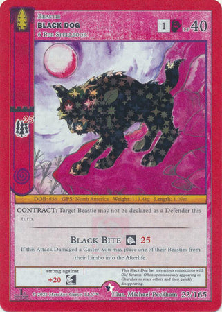 Black Dog - Wilderness: First Edition - 23/165